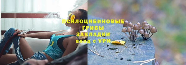 наркотики Алексин