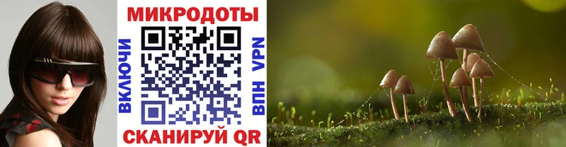 Псилоцибиновые грибы мухоморы Североуральск